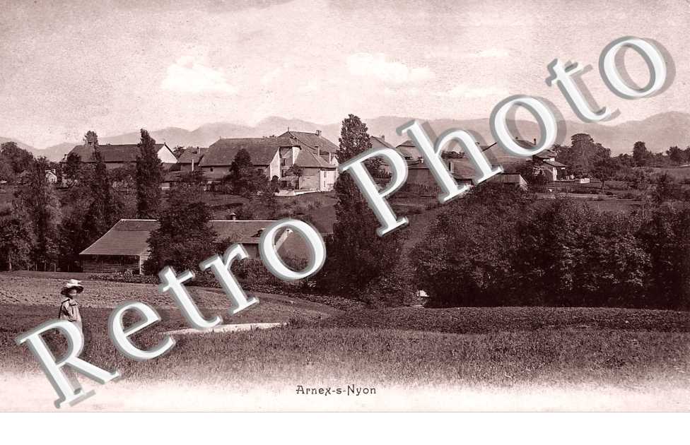 vue générale