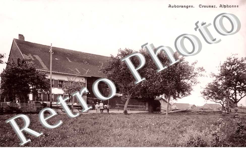 Craunsaz. Alphonse