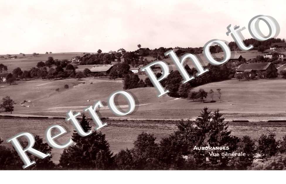 vue générale