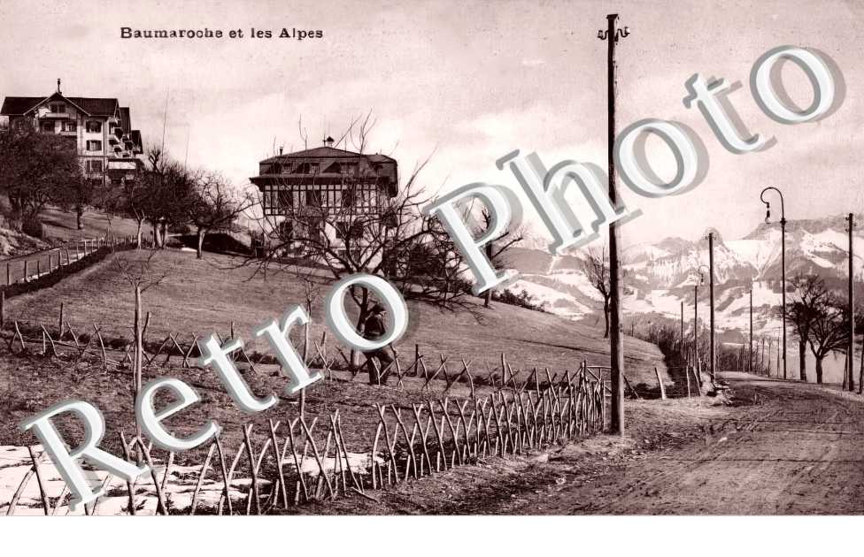 vue générale