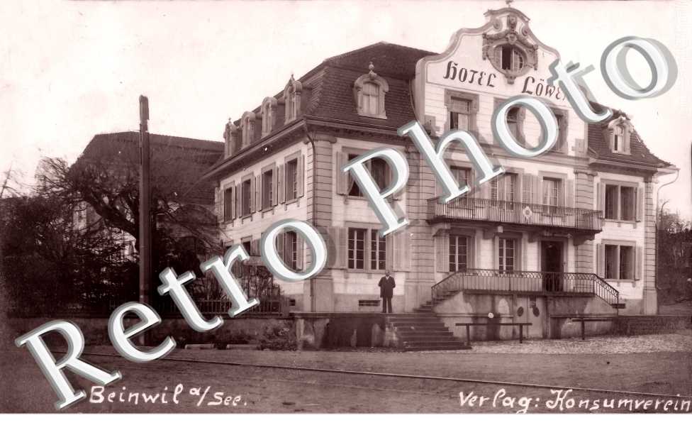 Hôtel Löwen