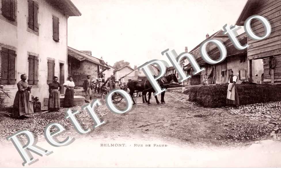 rue de Palud