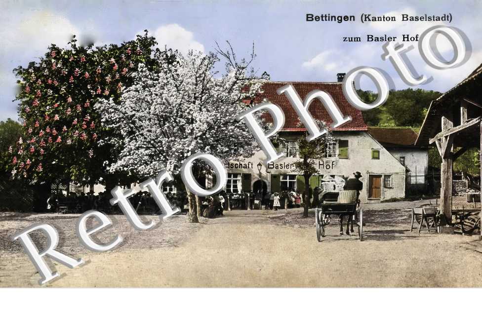 zum Basler Hof