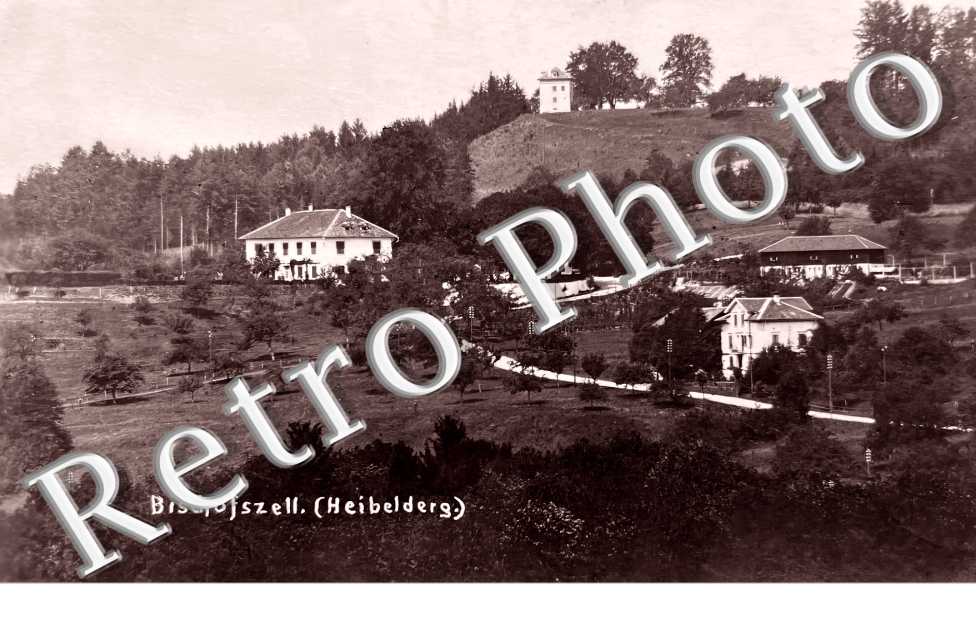 vue générale