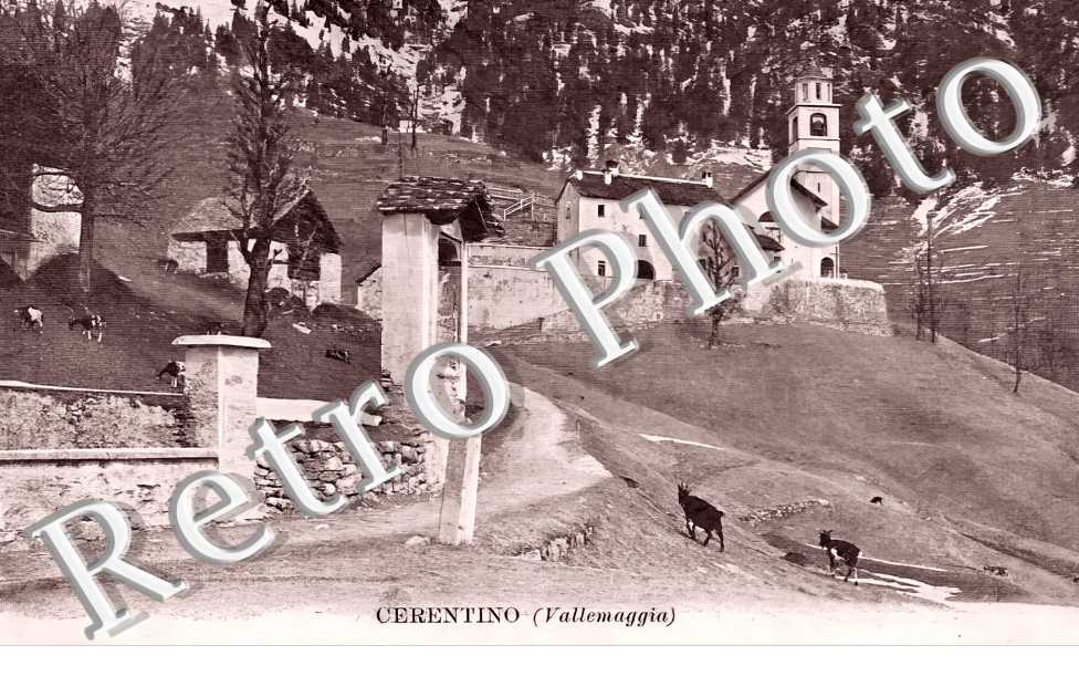 vue générale