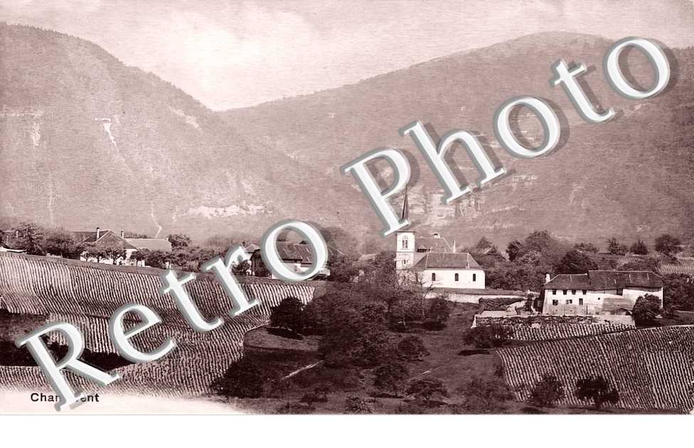 vue générale
