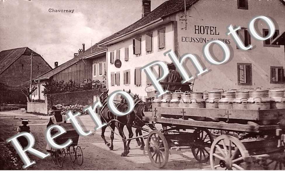 Hotel Ecusson-Vaudois