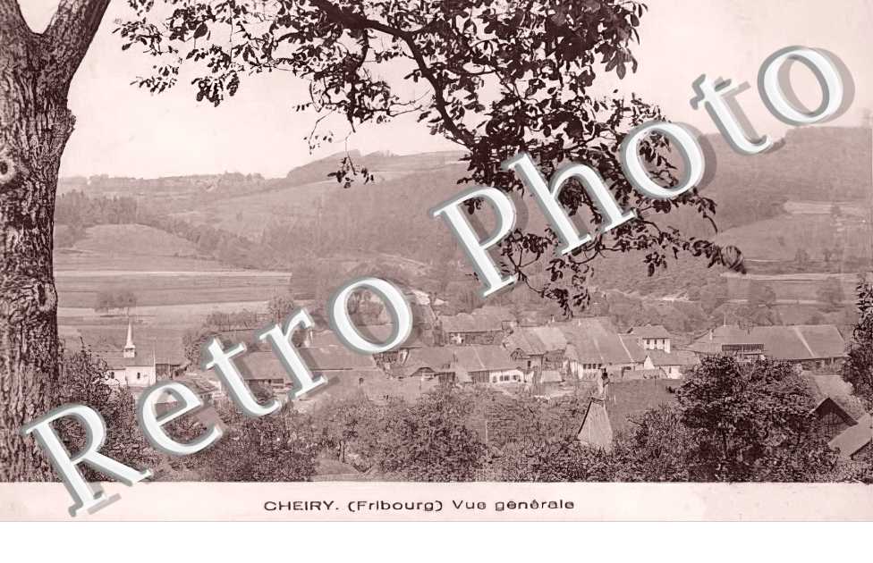 vue générale