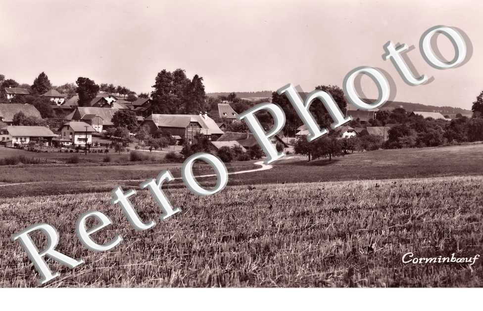 vue générale