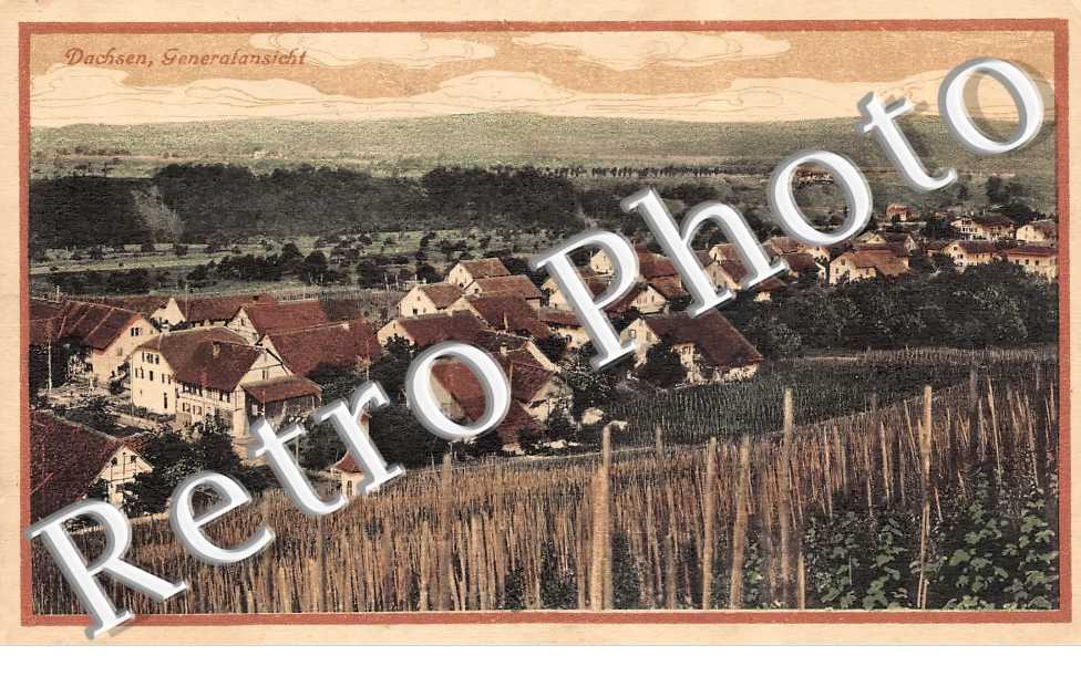 vue générale