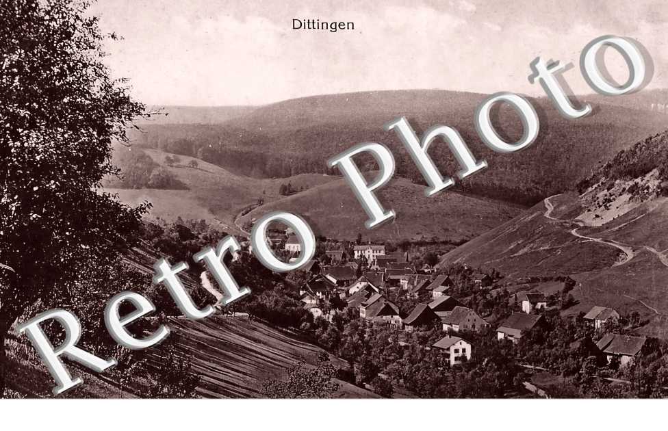 vue générale