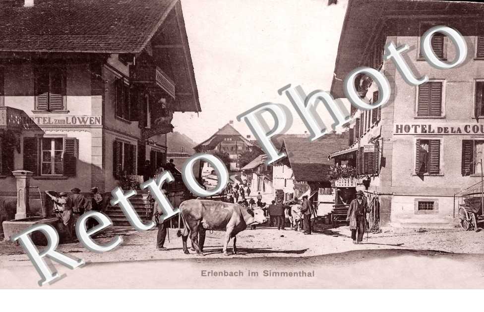 Hotel zum Lowen