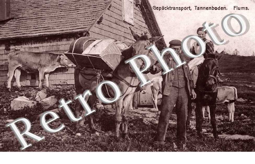 Gepäcktransport, Tannenboden