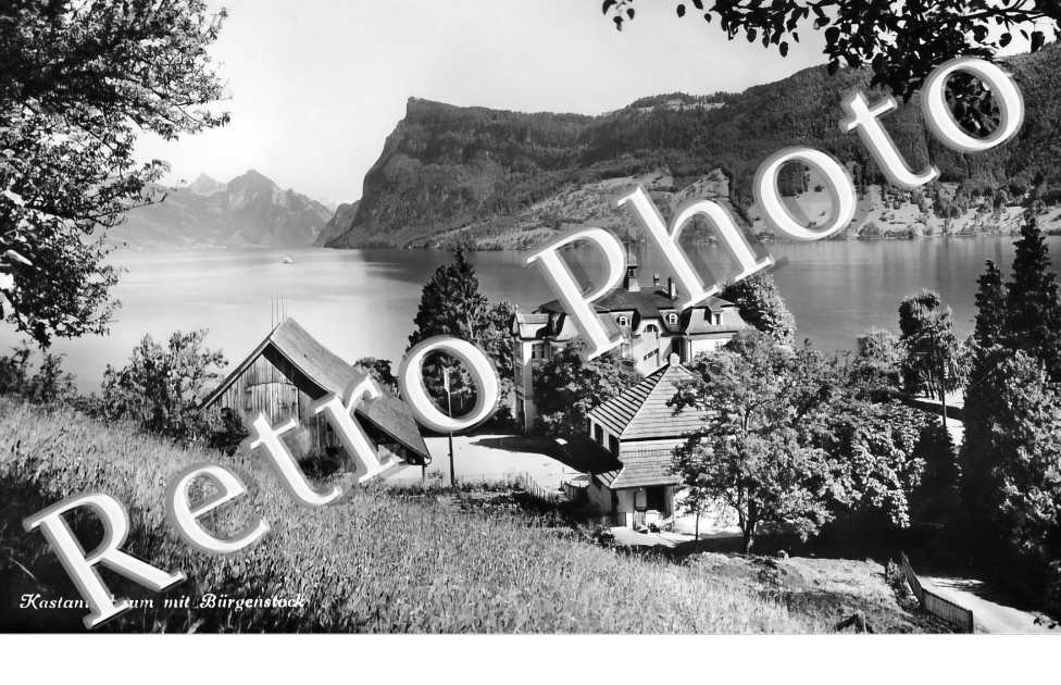 Kastanienbaum mit Bürgenstock