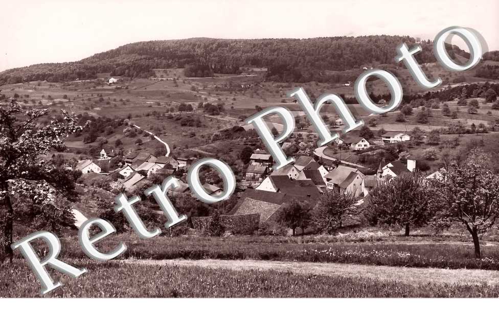 vue générale