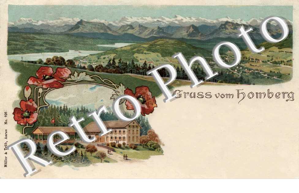 vue générale