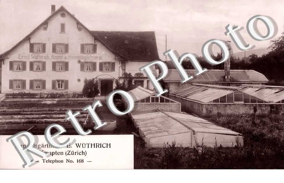 Handelsgärtenerei E. Wüthrich