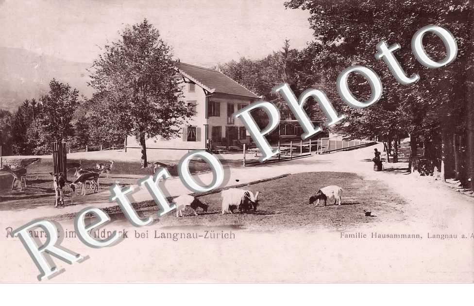 restaurant im Wildpark