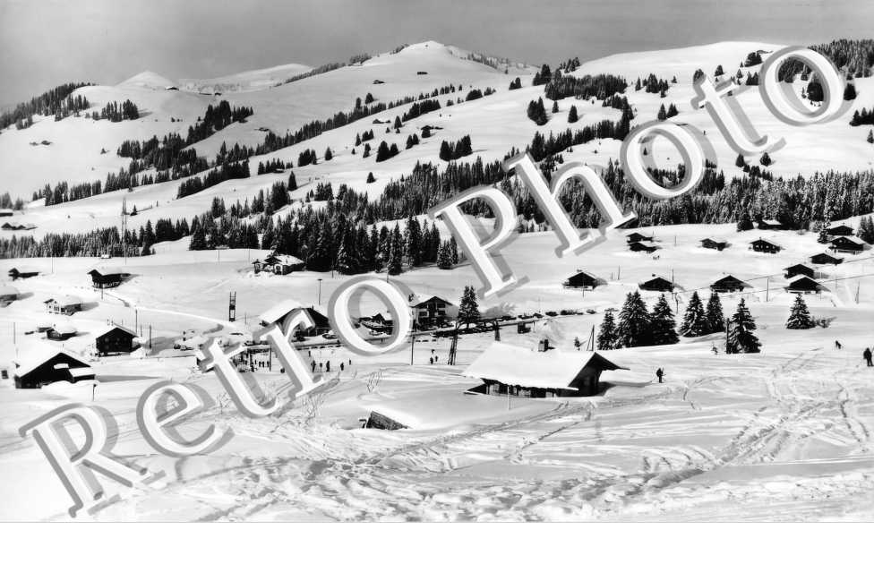 Pistes de ski