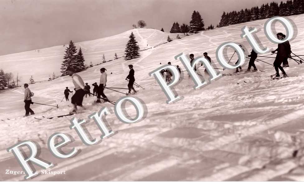Skisport
