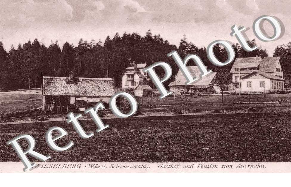 gasthof und Pension zum Auerhahn