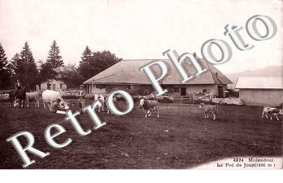 le Pré de Joux