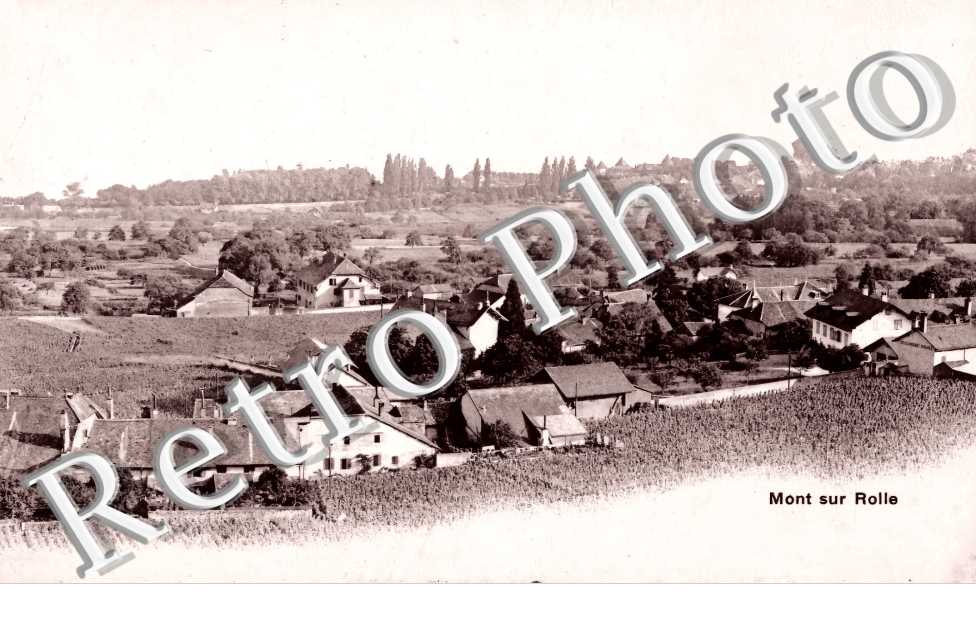vue générale