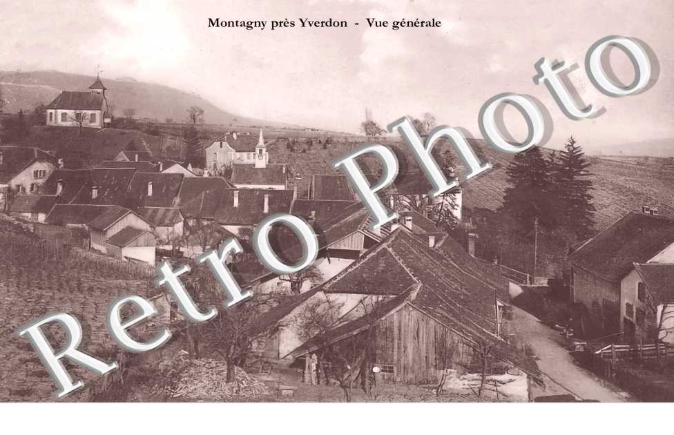 vue générale