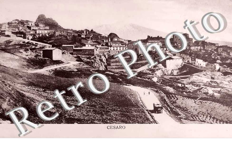 vue générale