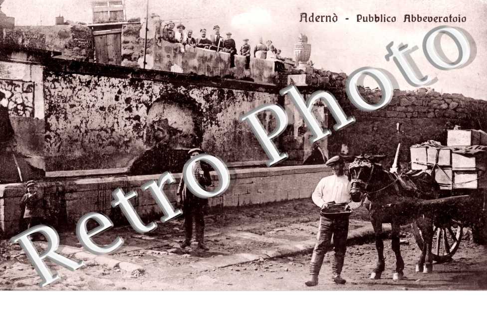 Pubblico Abbeveratoio