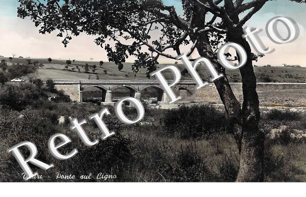 Ponte sur Cigno