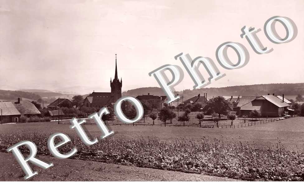 vue générale
