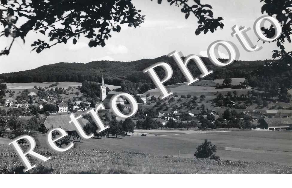 vue générale