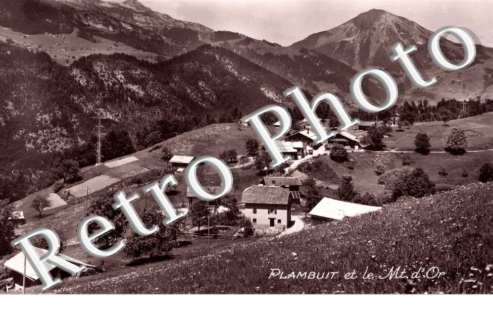 Plambuit et le Mont d'Or