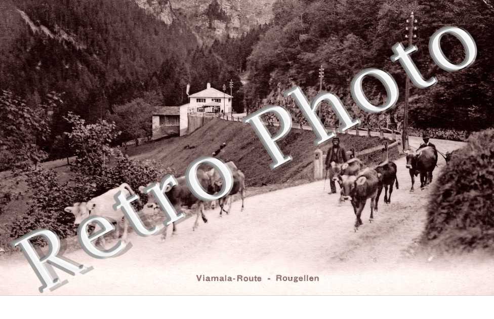 Viamale-Route