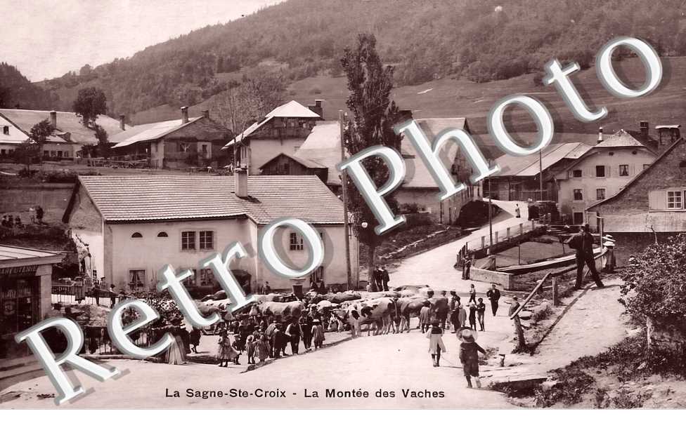 la Montée des vaches
