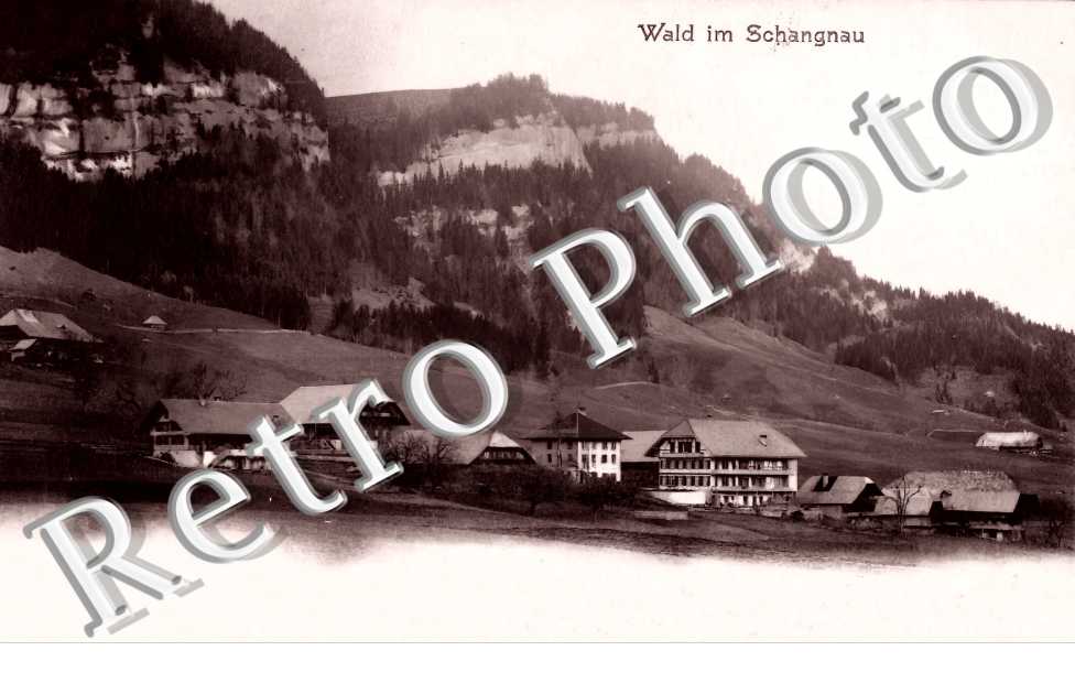 Wald im Schangnau