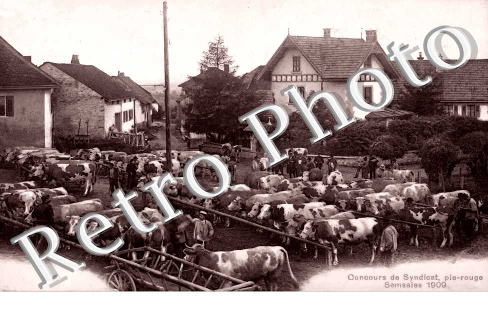 Concours de Syndicat, pie-rouge 1909