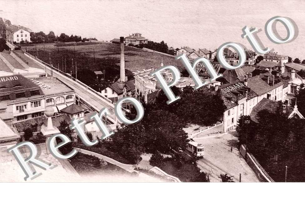 panorama