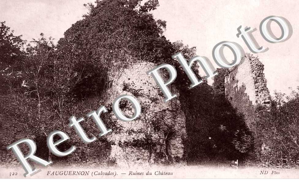 ruines du Château