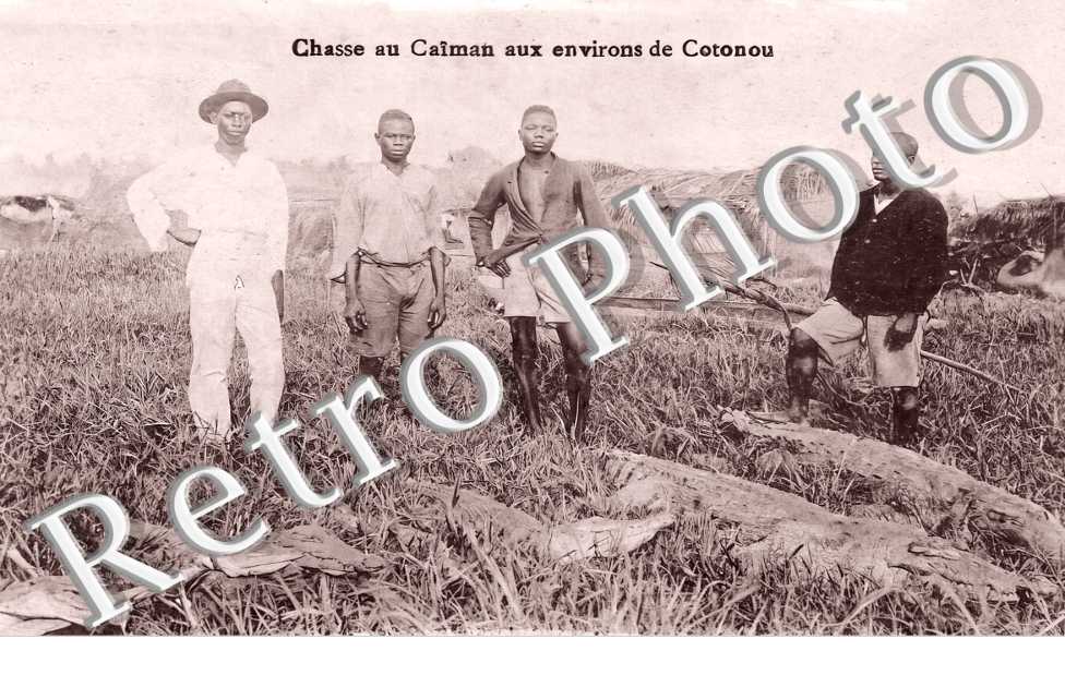 chasse au Caïman aux environs de Cotonou