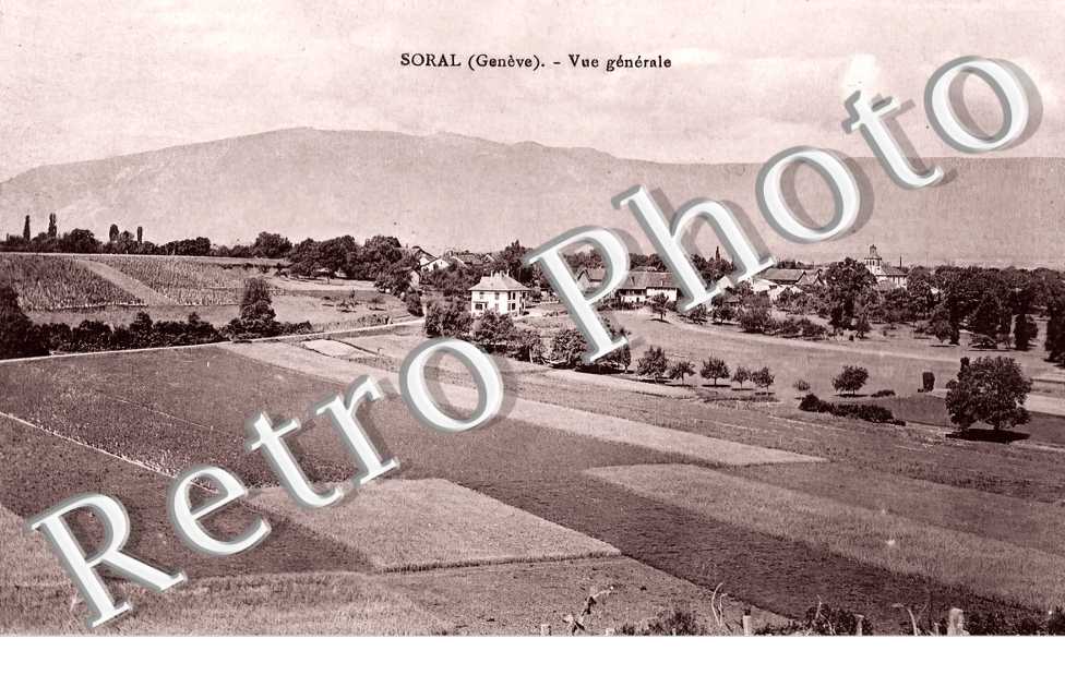 vue générale