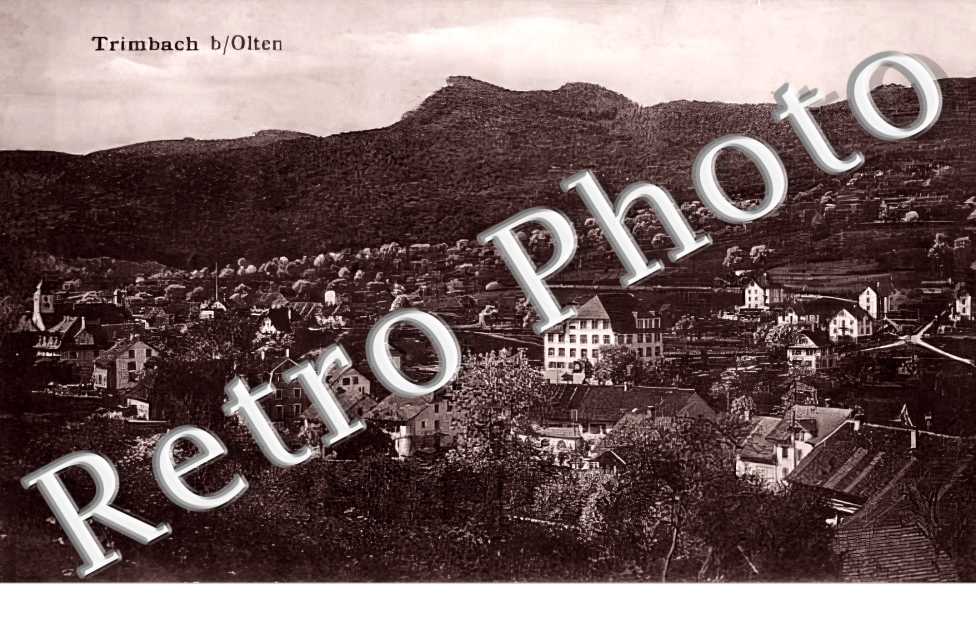 panorama