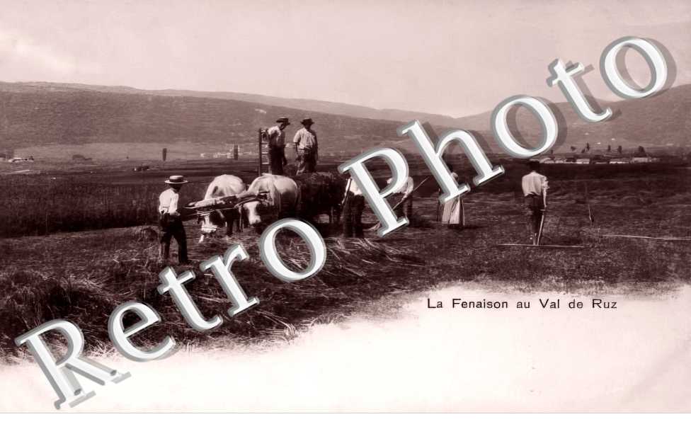 la fenaison
