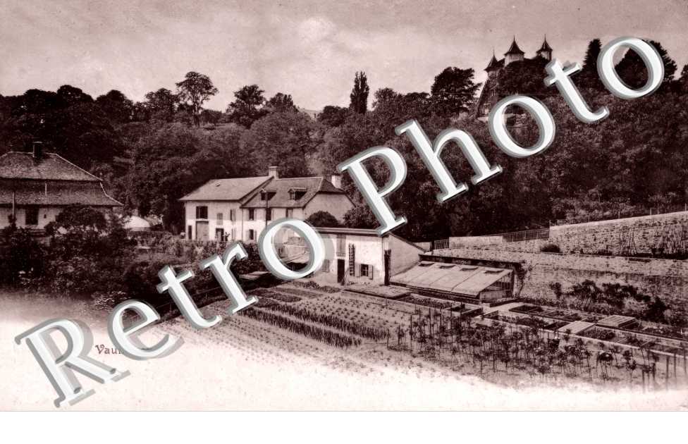 une vue
