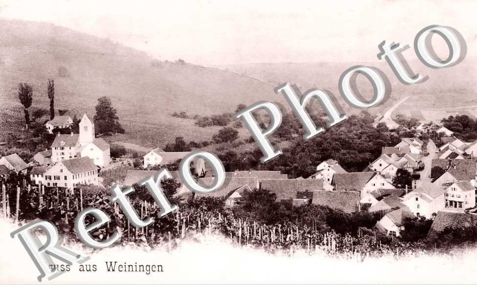 vue générale