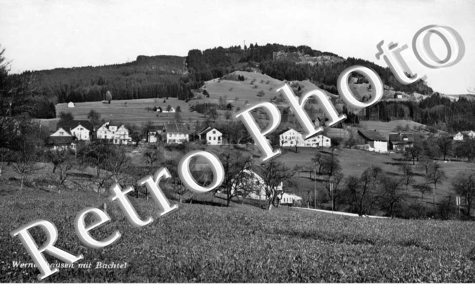 mit Bachtel