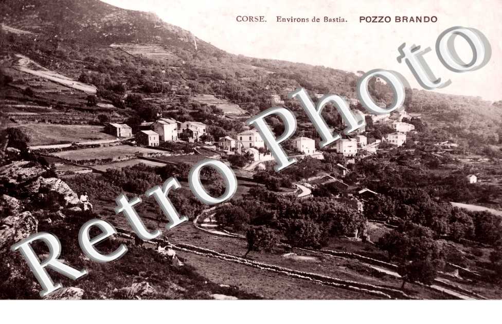 Pozzo Brando