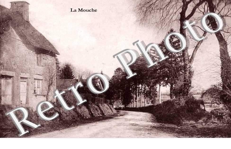 une vue