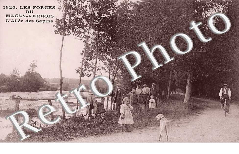 les Forges du Magny-Vernois. L'allée des sapins